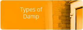 Homeshield - Types of Damp